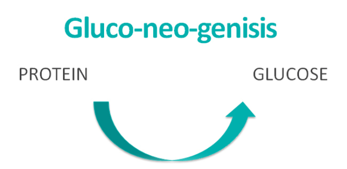 Gluco Neo Genesis
