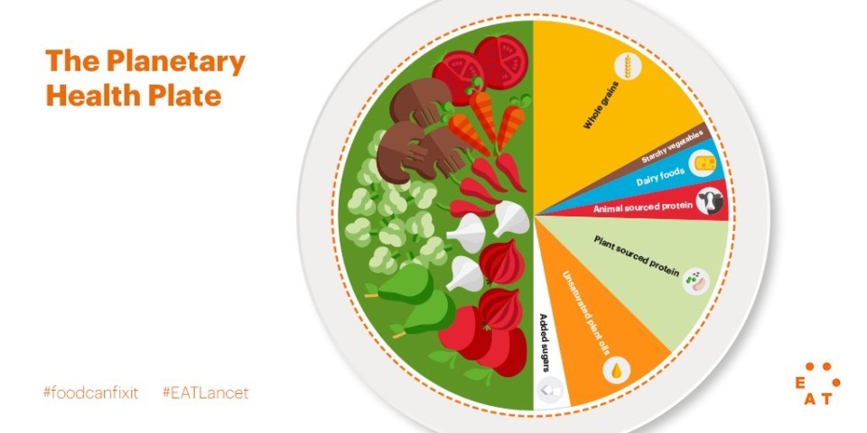 The Planetary Health Plate
