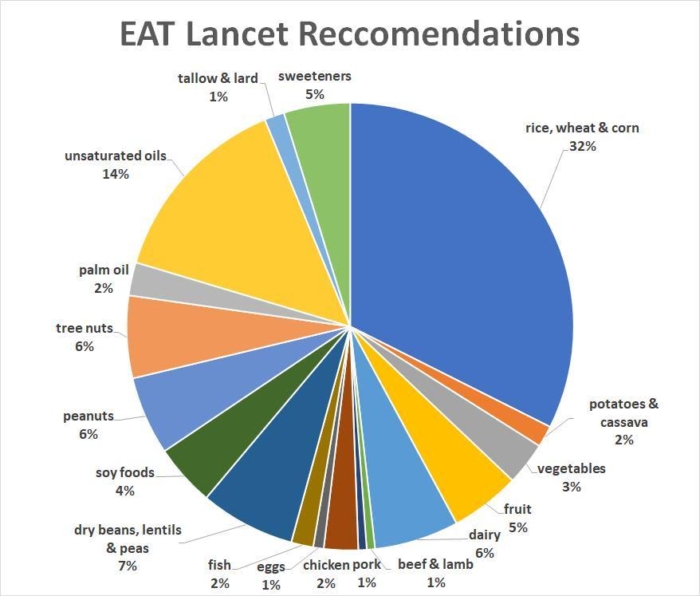 Marty Kendal Graph Eatlancet Planetary Health Diet 1