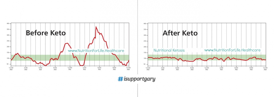 Banner Cover  Website Nutritional Ketosis